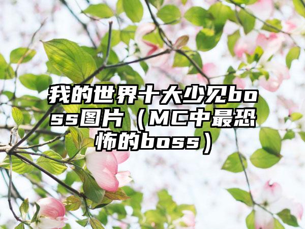 我的世界十大少见boss图片（MC中最恐怖的boss）