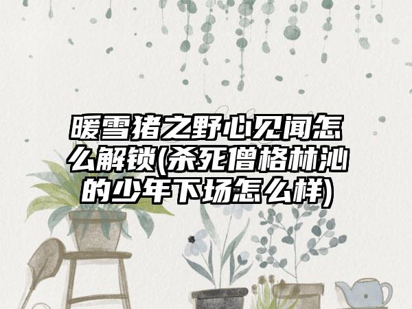 暖雪猪之野心见闻怎么解锁(杀死僧格林沁的少年下场怎么样)