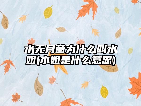 水无月菌为什么叫水姐(水姐是什么意思)