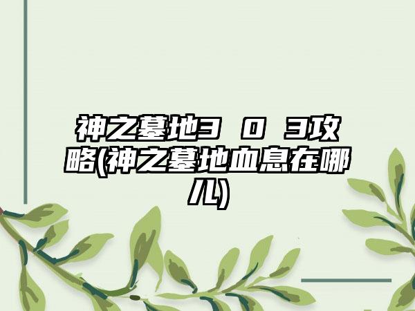 神之墓地3 0 3攻略(神之墓地血息在哪儿)
