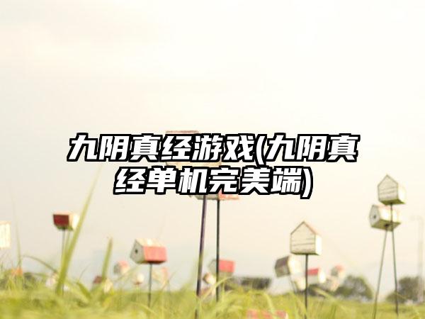 九阴真经游戏(九阴真经单机完美端)