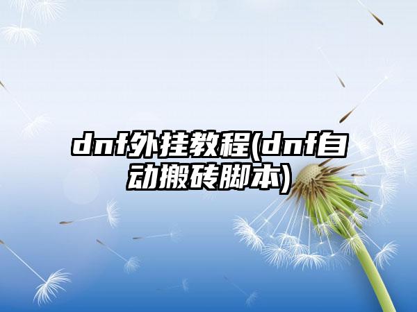 dnf外挂教程(dnf自动搬砖脚本)
