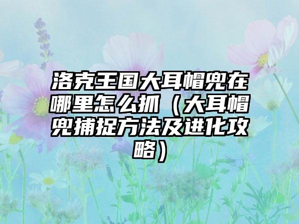洛克王国大耳帽兜在哪里怎么抓（大耳帽兜捕捉方法及进化攻略）