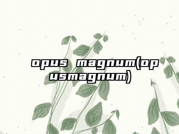 opus magnum(opusmagnum)