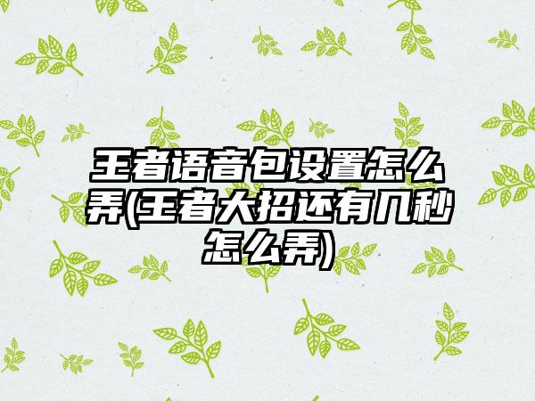 王者语音包设置怎么弄(王者大招还有几秒怎么弄)