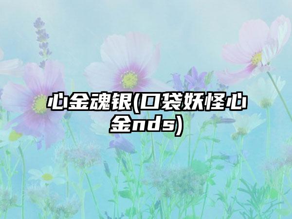 心金魂银(口袋妖怪心金nds)