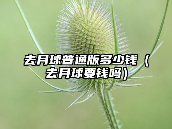 去月球普通版多少钱（去月球要钱吗）