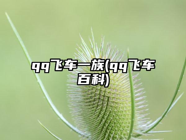 qq飞车一族(qq飞车百科)