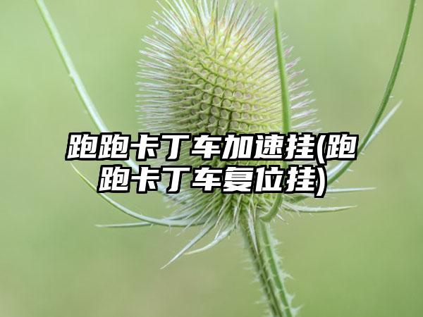 跑跑卡丁车加速挂(跑跑卡丁车复位挂)
