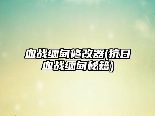 血战缅甸修改器(抗日血战缅甸秘籍)