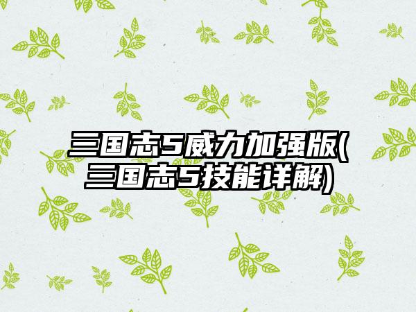 三国志5威力加强版(三国志5技能详解)
