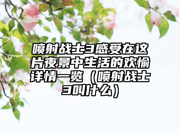 喷射战士3感受在这片夜景中生活的欢愉详情一览（喷射战士3叫什么）