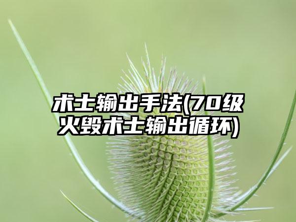 术士输出手法(70级火毁术士输出循环)