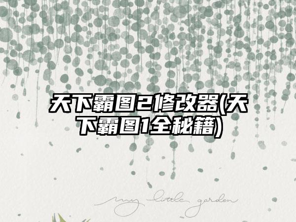 天下霸图2修改器(天下霸图1全秘籍)