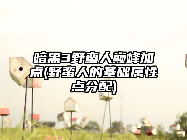 暗黑3野蛮人巅峰加点(野蛮人的基础属性点分配)