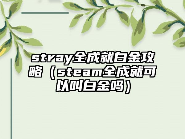 stray全成就白金攻略（steam全成就可以叫白金吗）