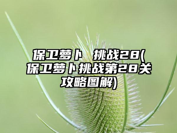 保卫萝卜 挑战28(保卫萝卜挑战第28关攻略图解)