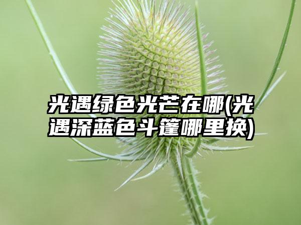 光遇绿色光芒在哪(光遇深蓝色斗篷哪里换)