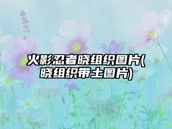 火影忍者晓组织图片(晓组织带土图片)