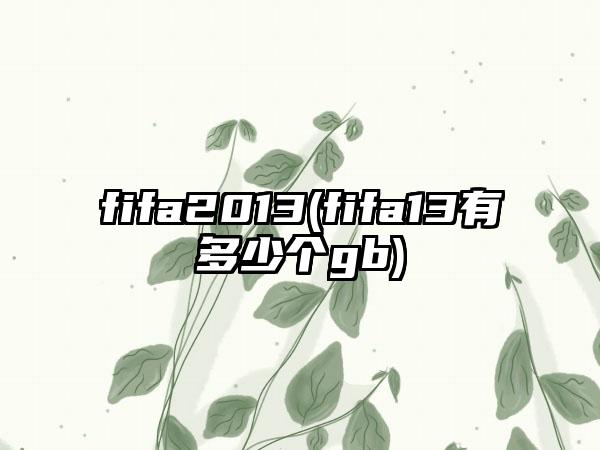 fifa2013(fifa13有多少个gb)