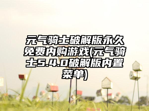 元气骑士破解版永久免费内购游戏(元气骑士5.4.0破解版内置菜单)