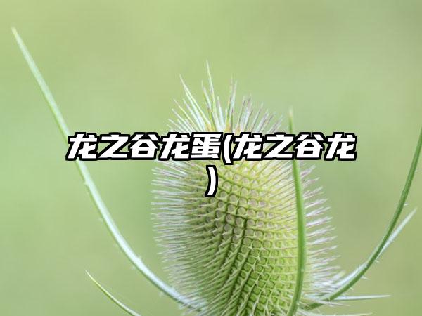 龙之谷龙蛋(龙之谷龙)