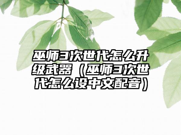 巫师3次世代怎么升级武器（巫师3次世代怎么设中文配音）