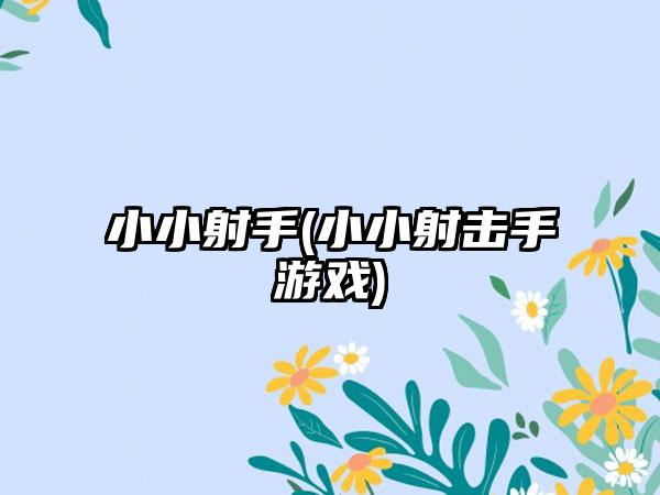 小小射手(小小射击手游戏)