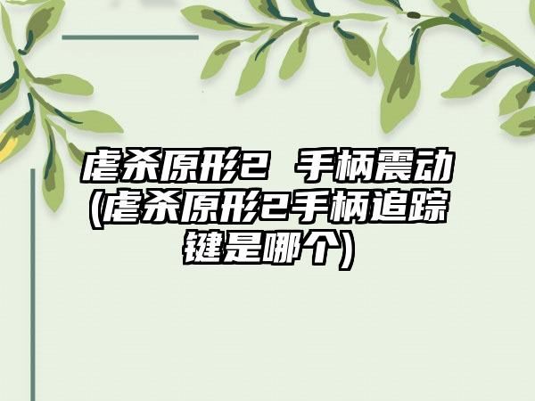 虐杀原形2 手柄震动(虐杀原形2手柄追踪键是哪个)