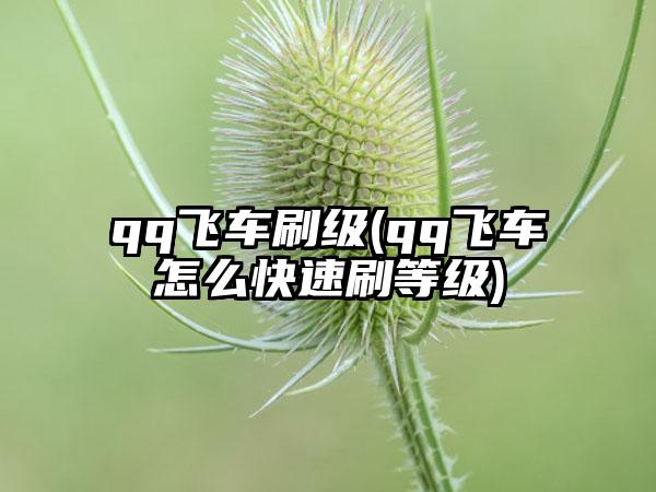 qq飞车刷级(qq飞车怎么快速刷等级)