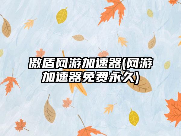 傲盾网游加速器(网游加速器免费永久)