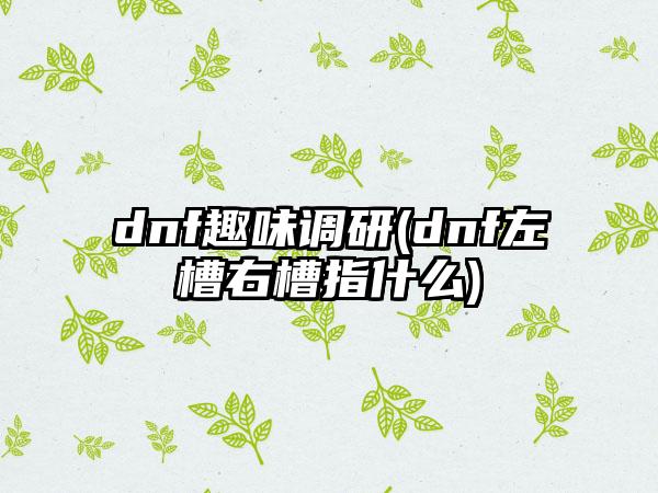 dnf趣味调研(dnf左槽右槽指什么)