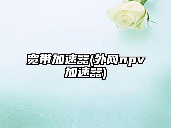 宽带加速器(外网npv加速器)