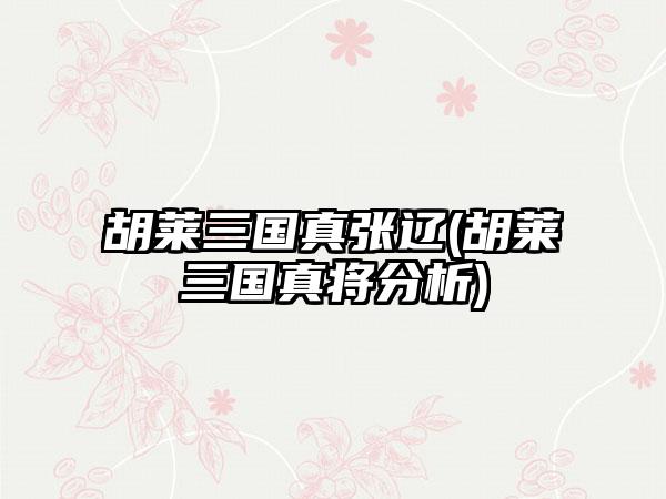 胡莱三国真张辽(胡莱三国真将分析)