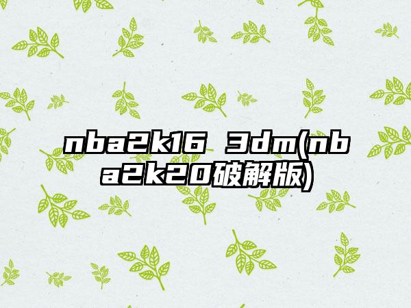 nba2k16 3dm(nba2k20破解版)