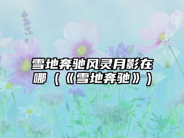 雪地奔驰风灵月影在哪（《雪地奔驰》）