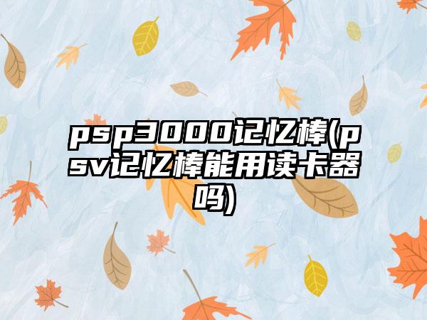 psp3000记忆棒(psv记忆棒能用读卡器吗)