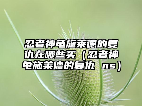 忍者神龟施莱德的复仇在哪些买（忍者神龟施莱德的复仇 ns）