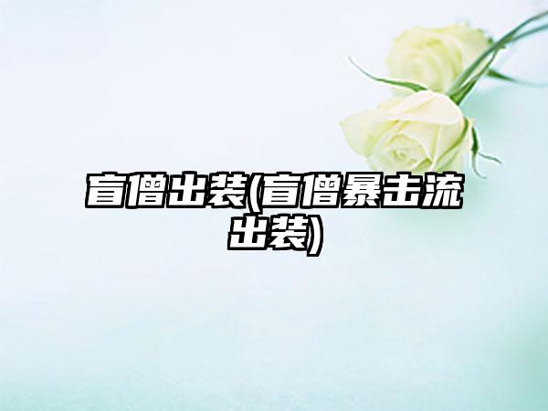 盲僧出装(盲僧暴击流出装)