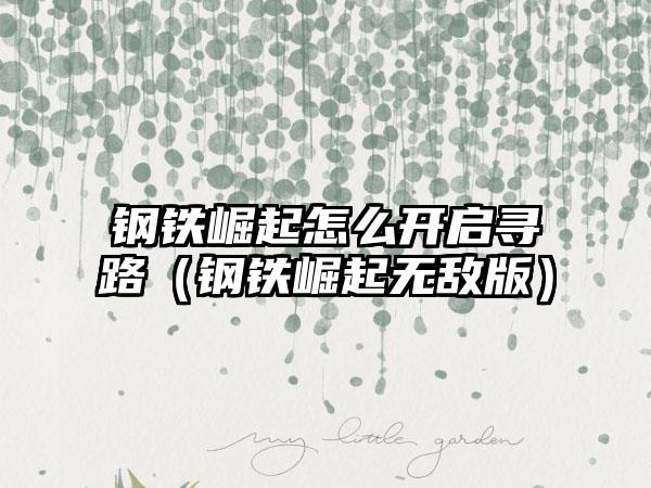 钢铁崛起怎么开启寻路（钢铁崛起无敌版）