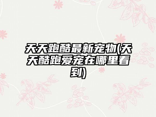 天天跑酷最新宠物(天天酷跑爱宠在哪里看到)