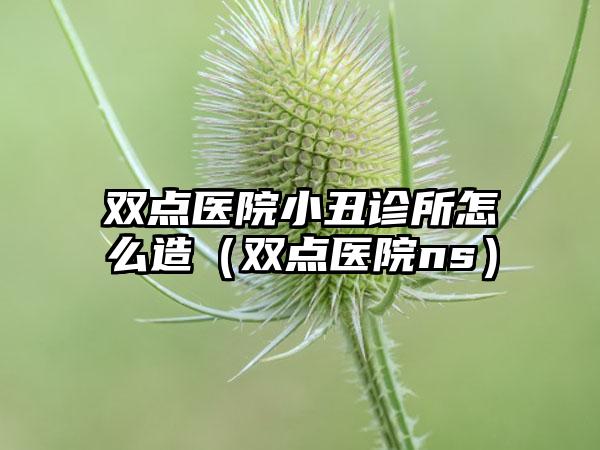 双点医院小丑诊所怎么造（双点医院ns）