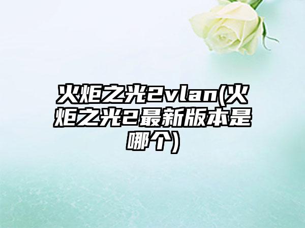 火炬之光2vlan(火炬之光2最新版本是哪个)