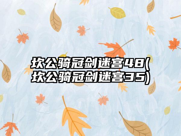 坎公骑冠剑迷宫48(坎公骑冠剑迷宫35)