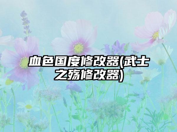 血色国度修改器(武士之殇修改器)