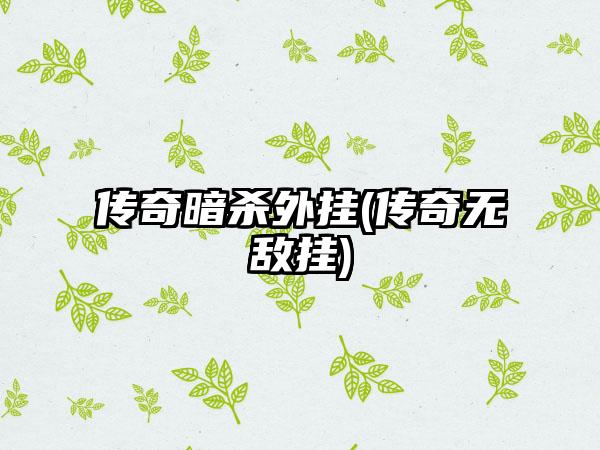 传奇暗杀外挂(传奇无敌挂)