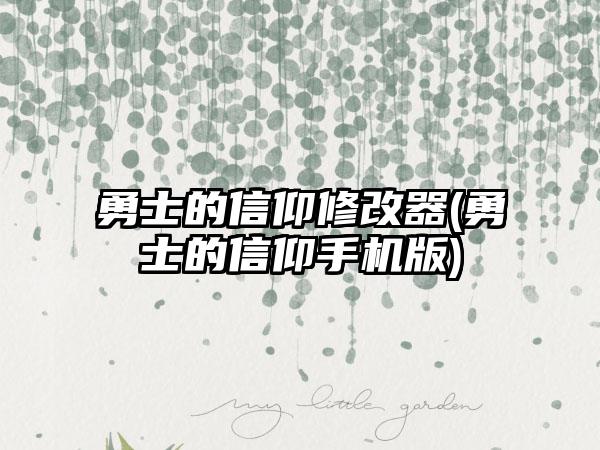 勇士的信仰修改器(勇士的信仰手机版)