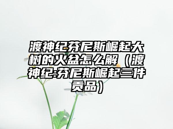 渡神纪芬尼斯崛起大树的火盆怎么解（渡神纪:芬尼斯崛起三件贡品）