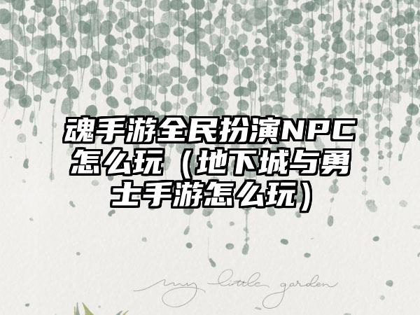 魂手游全民扮演NPC怎么玩（地下城与勇士手游怎么玩）