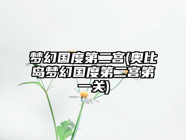 梦幻国度第二宫(奥比岛梦幻国度第二宫第一关)
